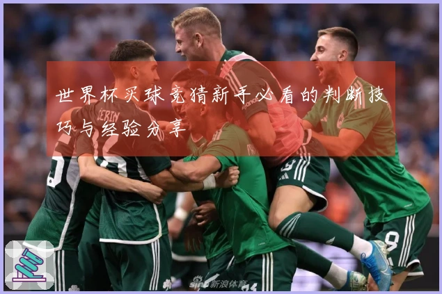 世界杯买球竞猜新手必看的判断技巧与经验分享