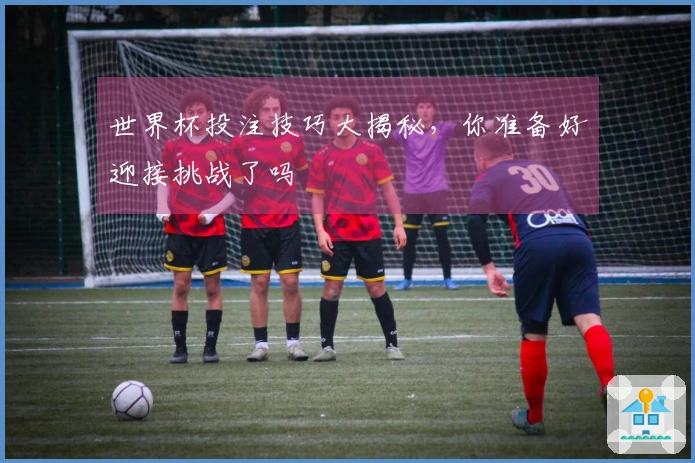 世界杯投注技巧大揭秘，你准备好迎接挑战了吗