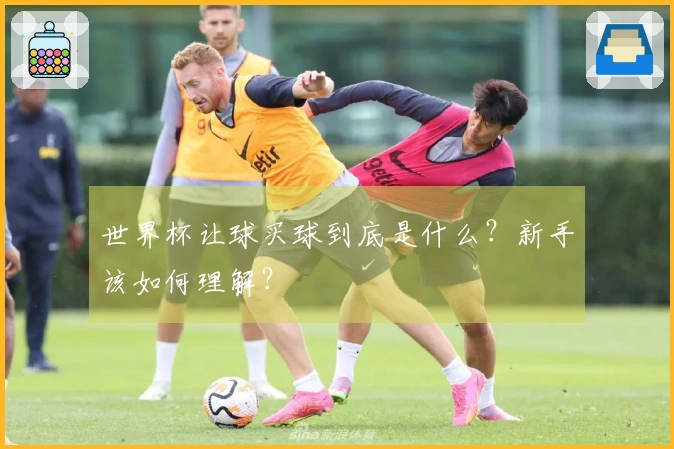 世界杯让球买球到底是什么？新手该如何理解？