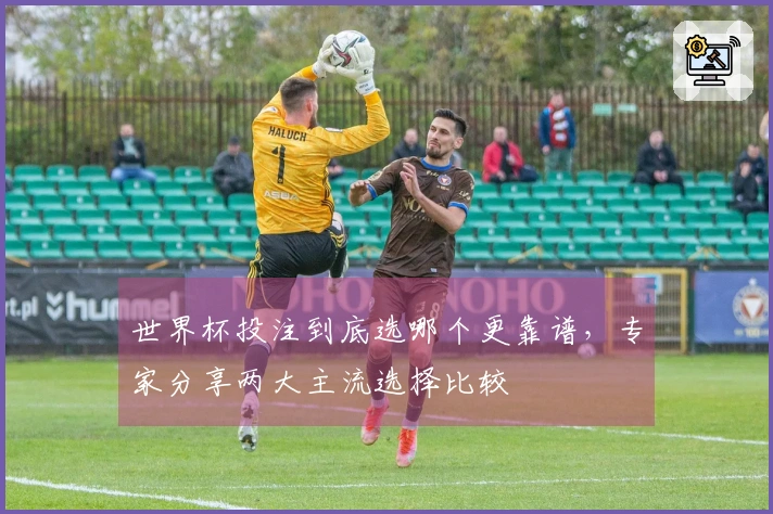 世界杯投注到底选哪个更靠谱，专家分享两大主流选择比较