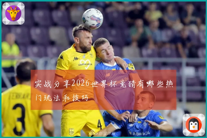 实战分享2026世界杯竞猜有哪些热门玩法和技巧