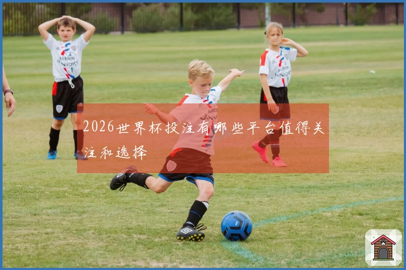 2026世界杯投注有哪些平台值得关注和选择