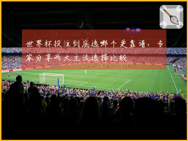世界杯投注到底选哪个更靠谱，专家分享两大主流选择比较