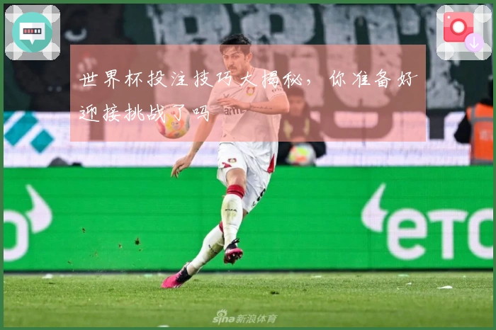 世界杯投注技巧大揭秘，你准备好迎接挑战了吗